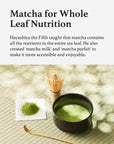 Matcha Starter Set | Uji Matcha Wakamatsu (30g) + Resin Matcha Whisk