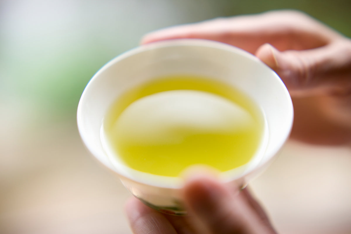 Sencha Green Tea "Sousou" and Hojicha "Ukon" Now Available