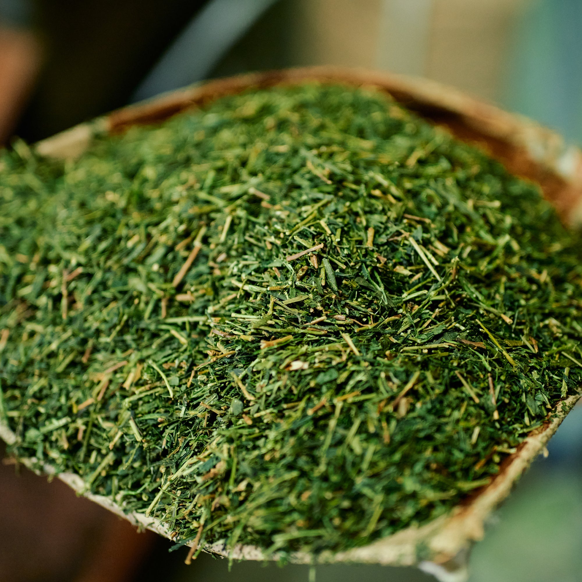 Hojicha powder