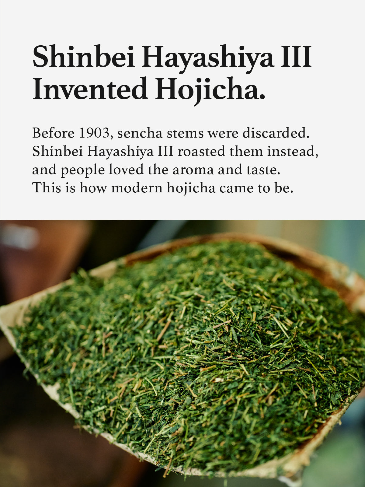 Matcha &amp; Hojicha Duo | Uji Matcha Shoshin (30g) + The Original Hojicha (60g)
