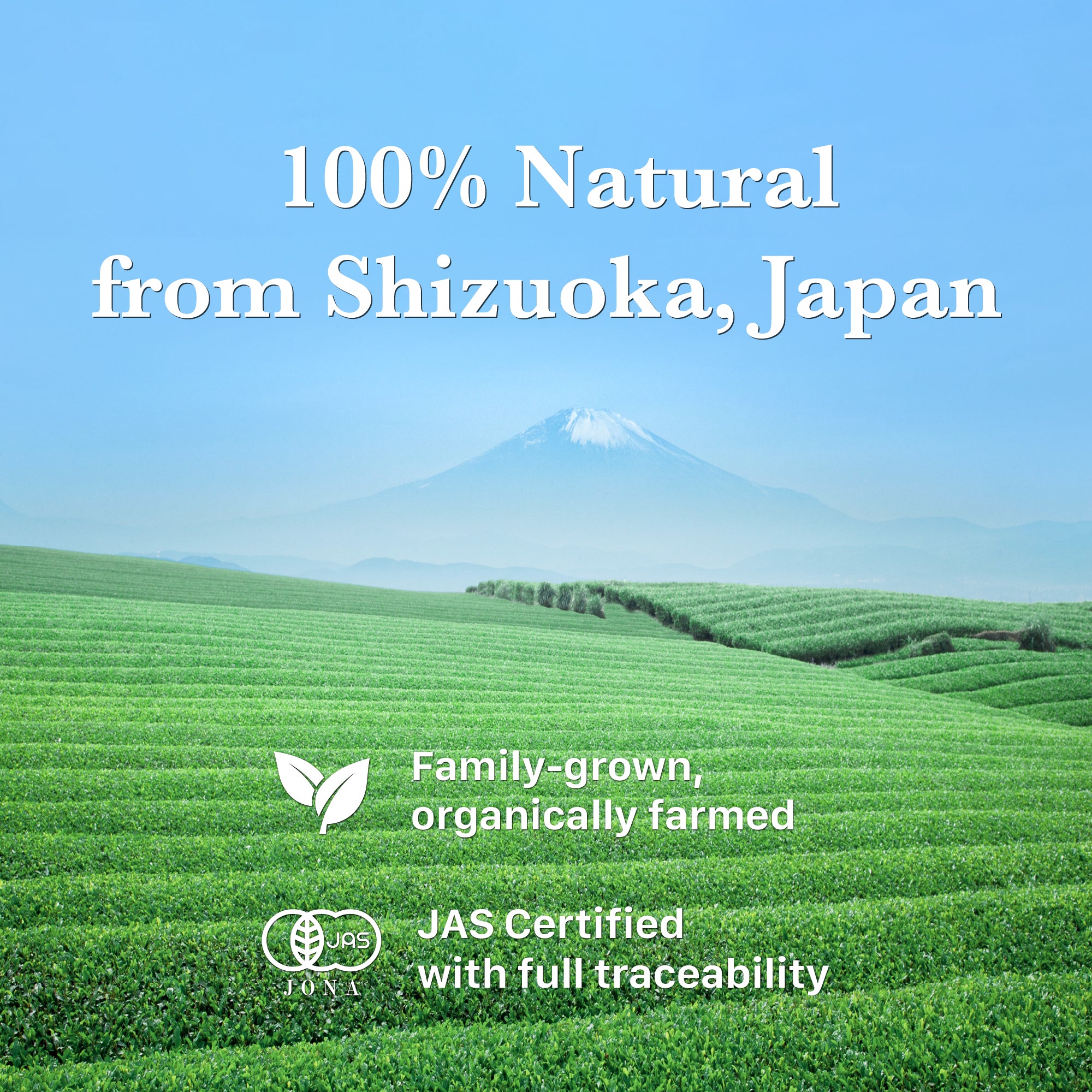 Organic Matcha Powder Daichi (30g) | JAS Organic, Single Farm